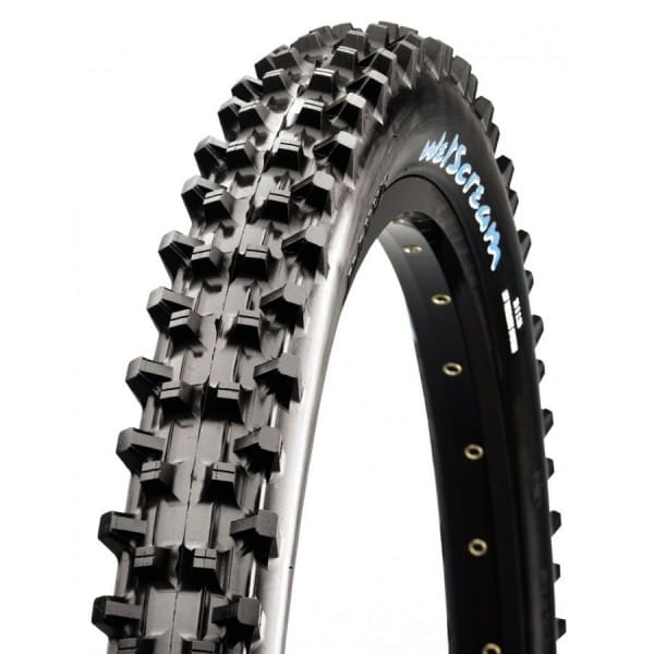 maxxis downhill tyres